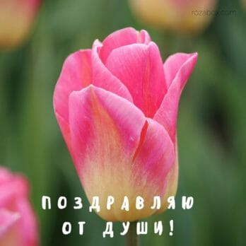 Открытка с днем рождения с именем кристина Открытка с днем рождения с именем кристина
