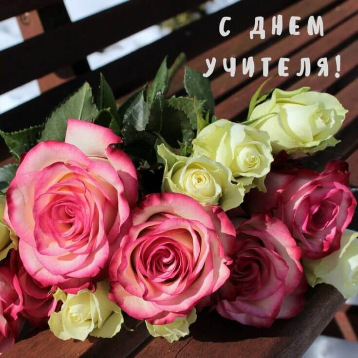 Прикольные поздравления учителю с Новым годом в прозе новые фото Прикольные поздравления учителю с Новым годом в прозе новые фото