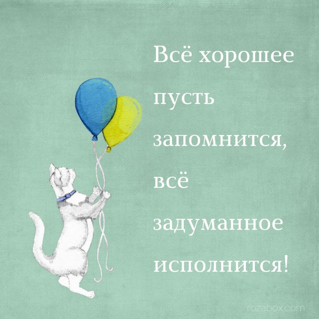 Пусть твои мечты сбываются открытка Пусть твои мечты сбываются открытка