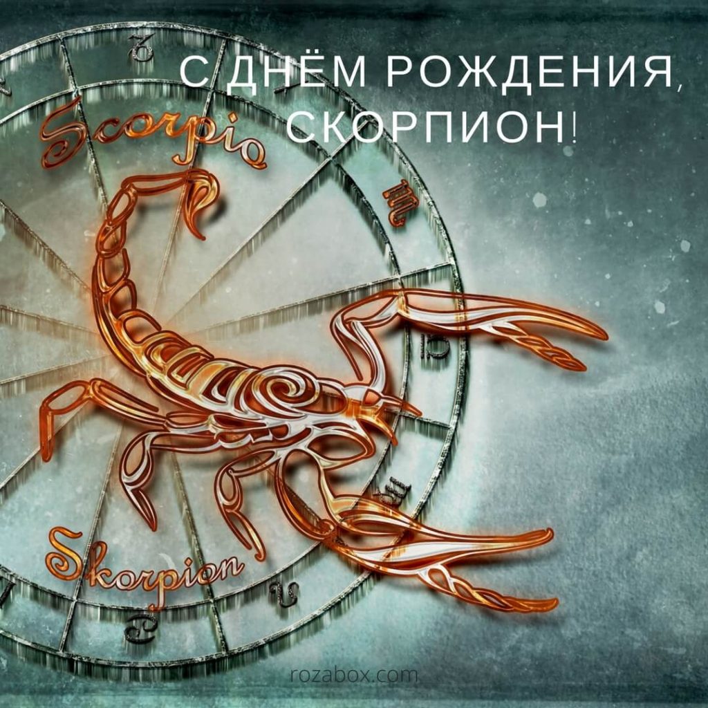 Поздравление с днем рождения скорпиону от скорпиона Поздравление с днем рождения скорпиону от скорпиона