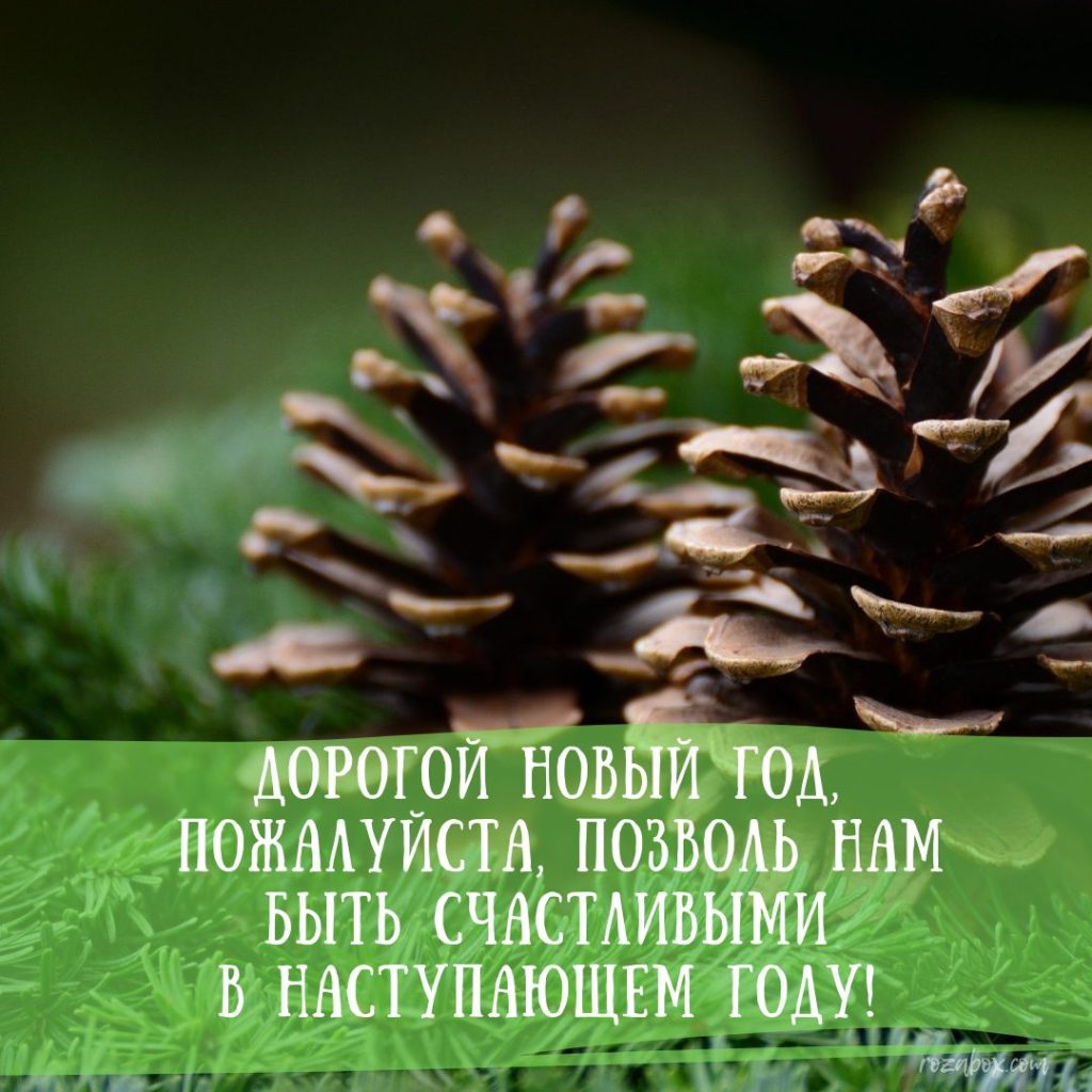 Открытки с пожеланиями на Новый Год. - RozaBox.com