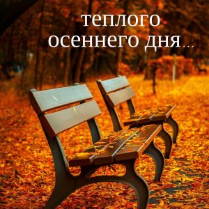 красивая осеняя открытка