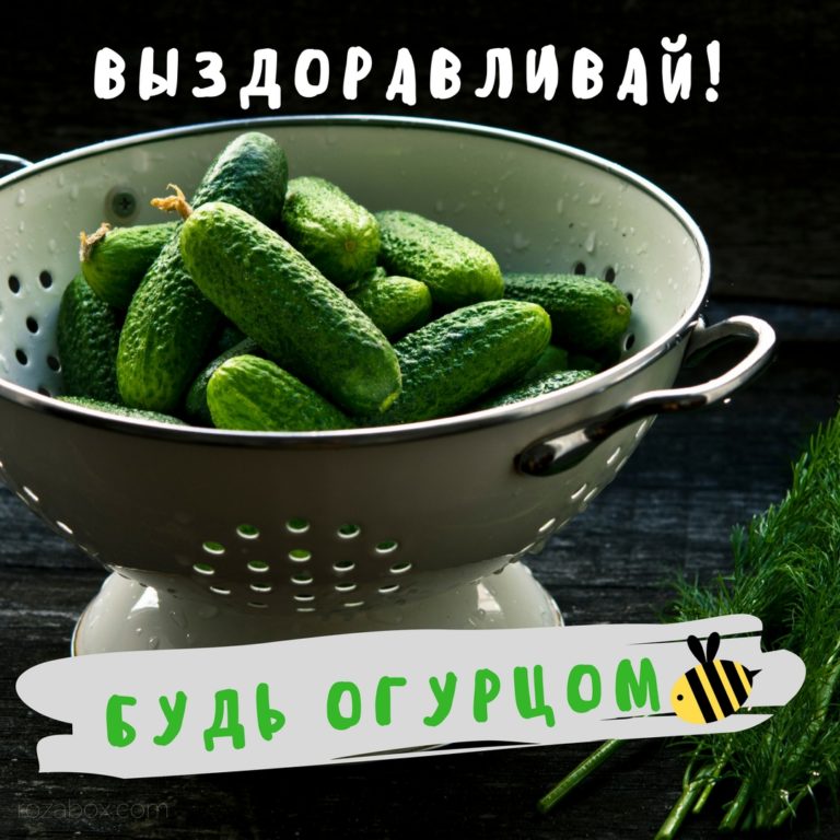 Открытки - Выздоравливай - RozaBox.com