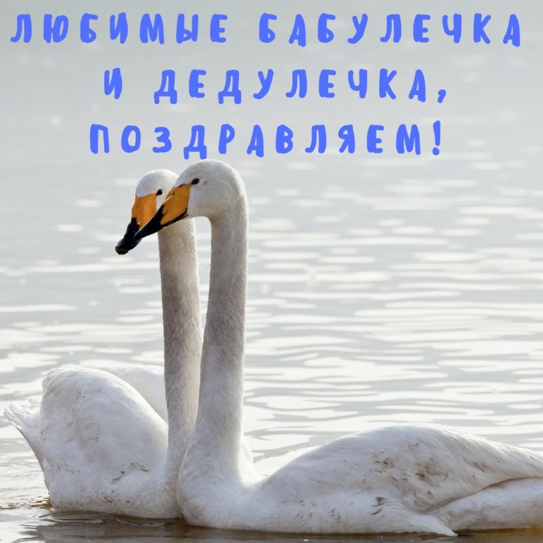 С Днем бабушек и дедушек - RozaBox.com