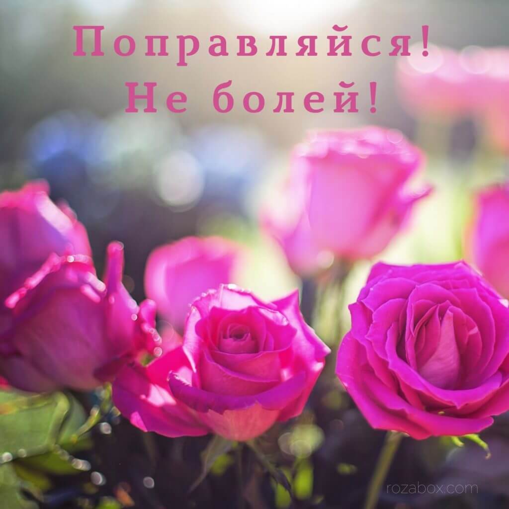 Открытки Не болей - RozaBox.com
