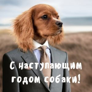 новогодняя открытка с собакой на телефон
