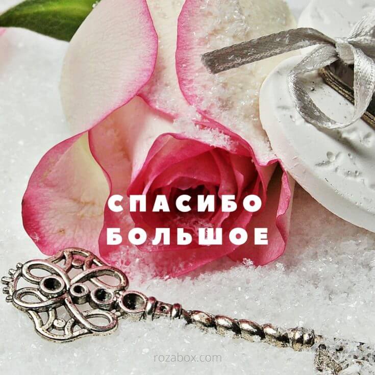 Открытки Спасибо большое - RozaBox.com