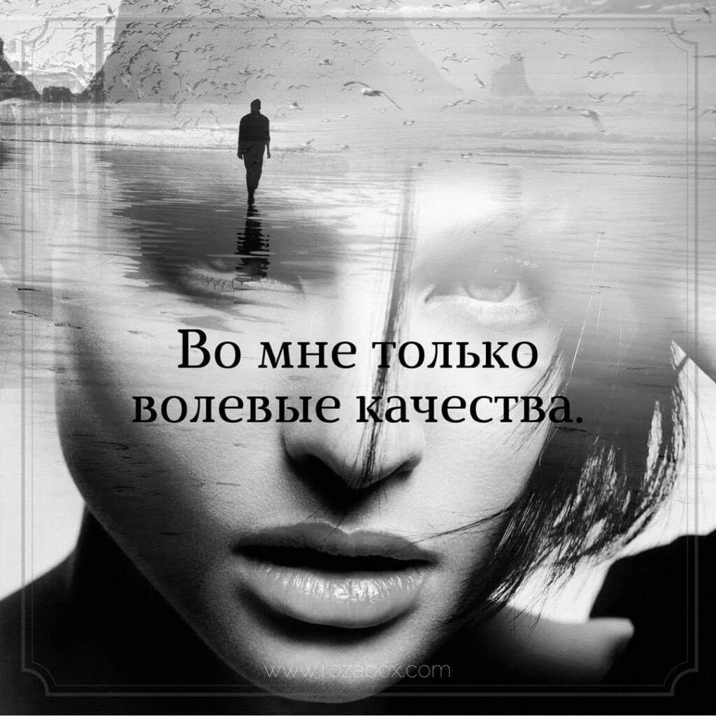 Выбери себе статус - RozaBox.com