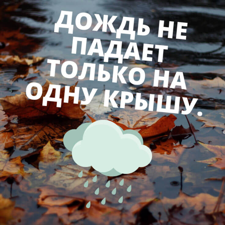 Цитаты про дождь и осень - RozaBox.com