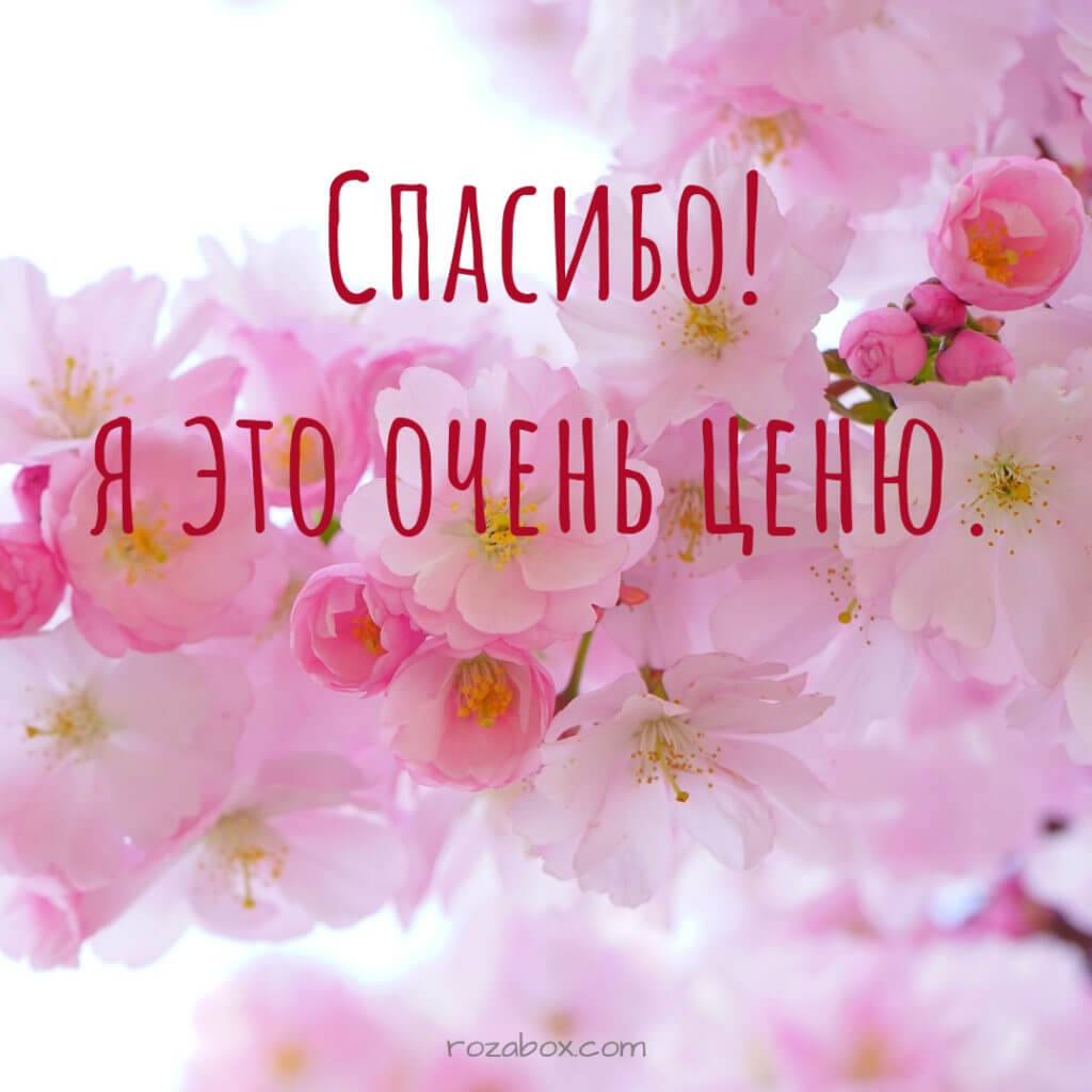 Открытки со словами благодарности для Facebook - RozaBox.com