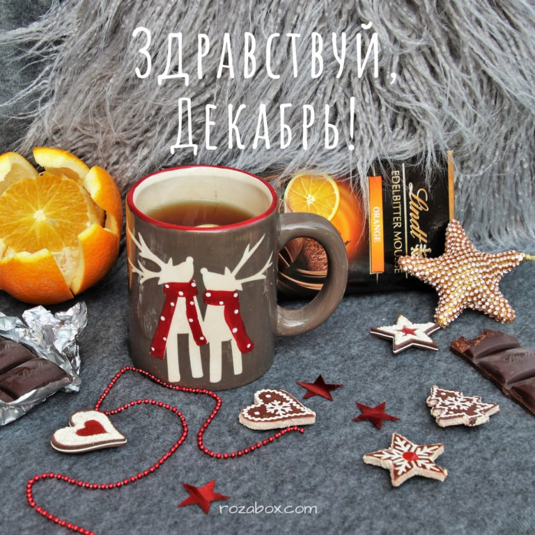 Фотографии Привет Декабрь! - RozaBox.com