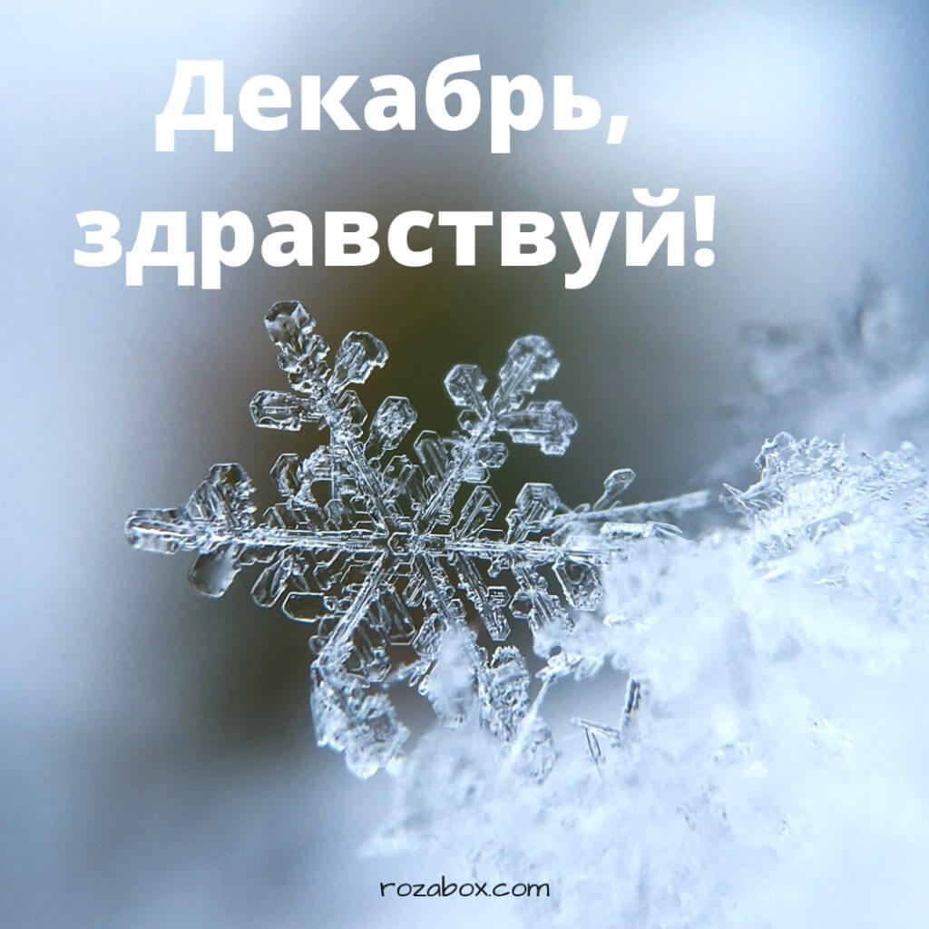 Фотографии Привет Декабрь! - RozaBox.com