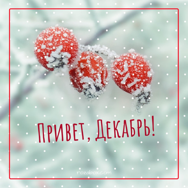 Фотографии Привет Декабрь! - RozaBox.com