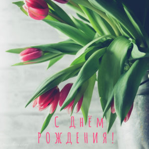 милая картинка с тюльпанами