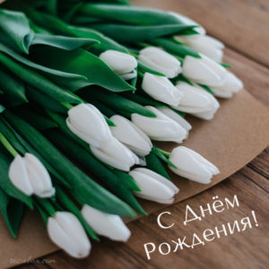 открытка с тюльпанами с днем рождения