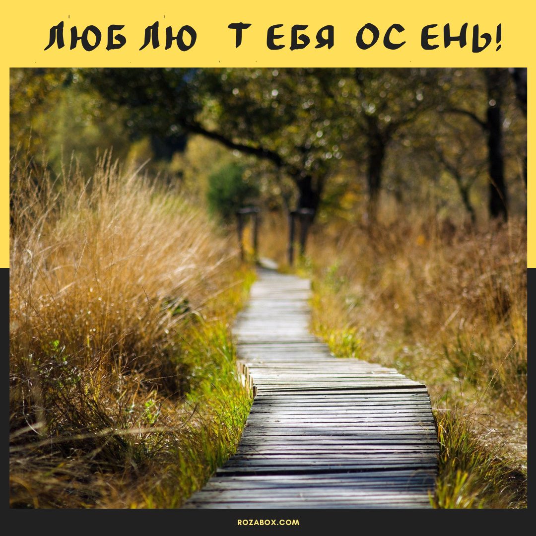 Открытки - Люблю осень - RozaBox.com